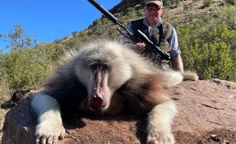 Indignación por un cazador británico que mató a un babuino albino poco común en un safari en África