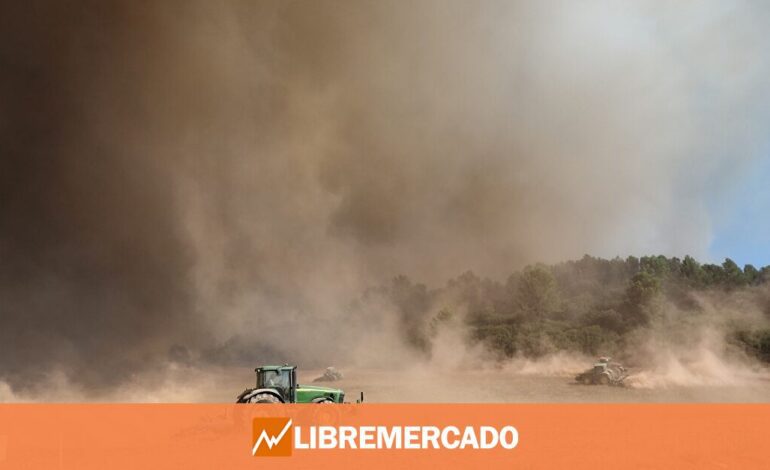 El campo desmonta las promesas de Planas: «Las ayudas no llegan y son un engorro burocrático»