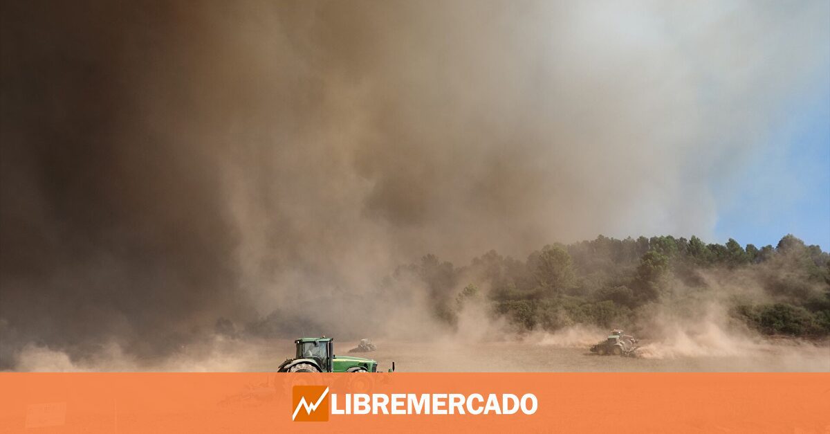 El campo desmonta las promesas de Planas: «Las ayudas no llegan y son un engorro burocrático»