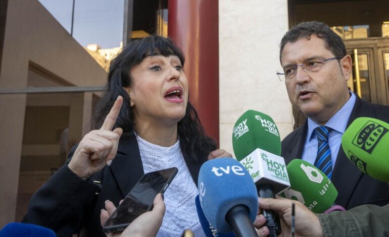 JUICIO JUANA RIVAS | Juana Rivas centra su declaración en denunciar los malos tratos de Arcuri a su hijo