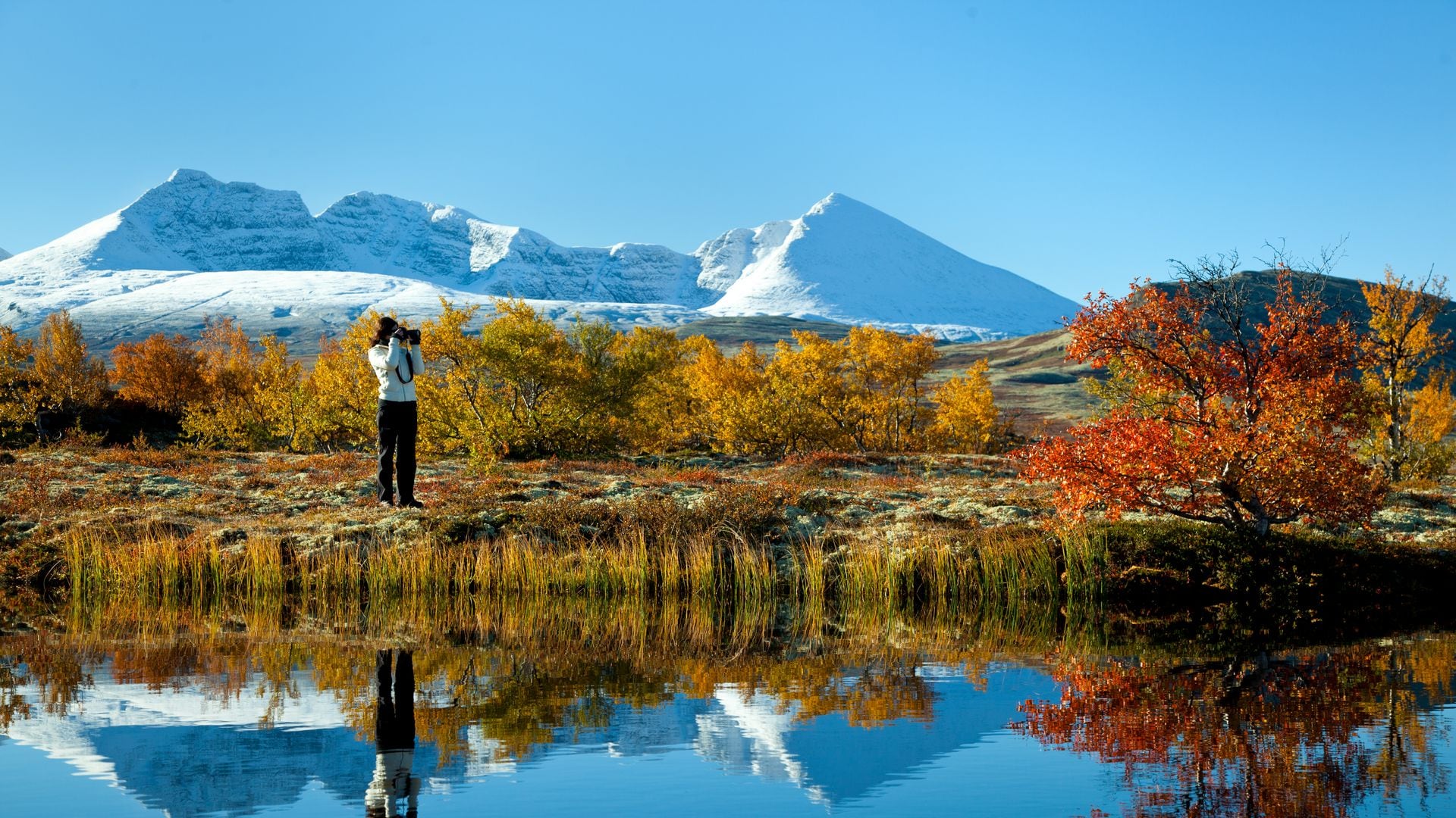 Parque Nacional Rondane, Noruega, en otoño