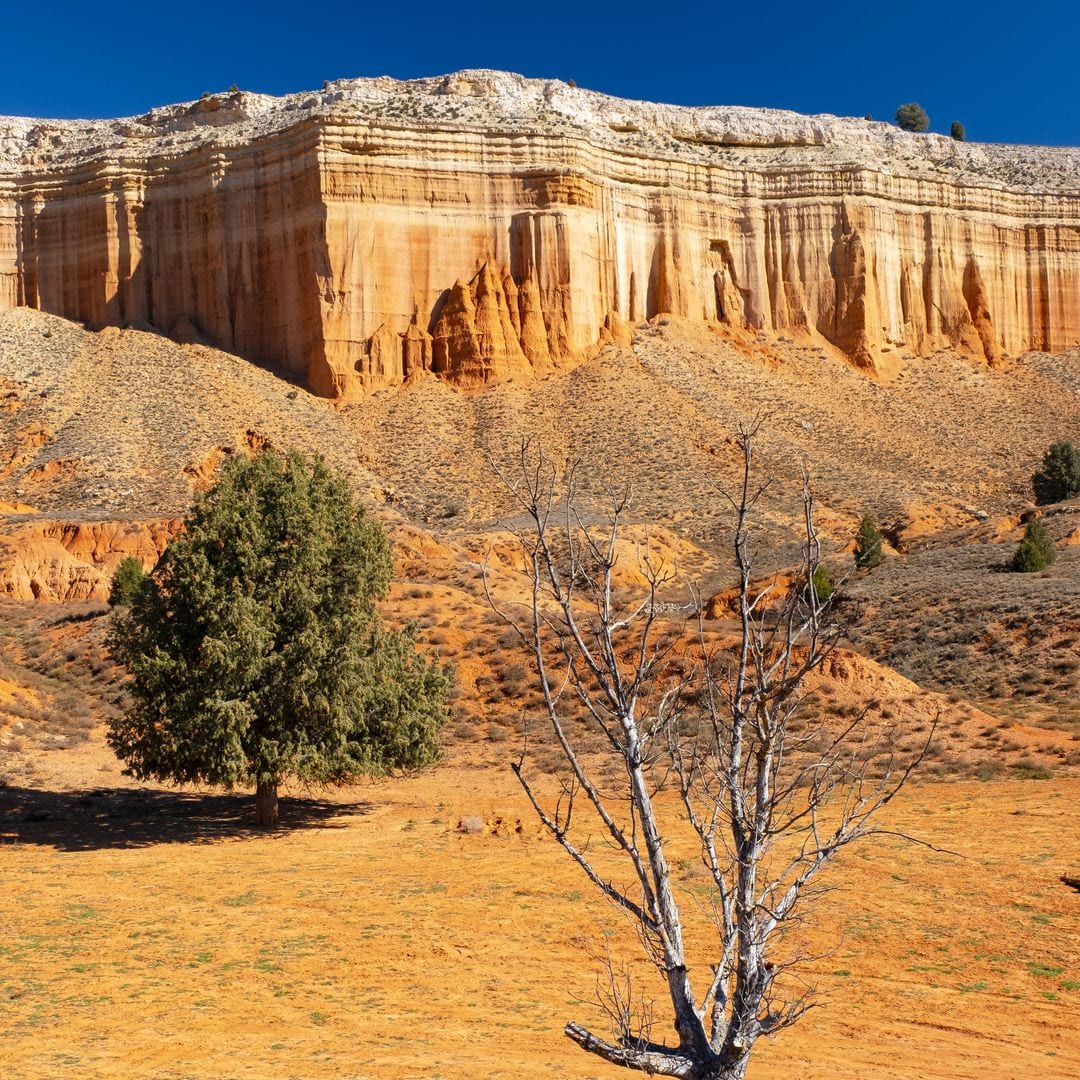 La Rambla de Barrachina, Teruel