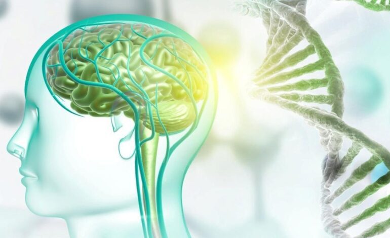 El CSIC diseña unas moléculas sintéticas que reparan en el laboratorio una alteración frecuente en el autismo