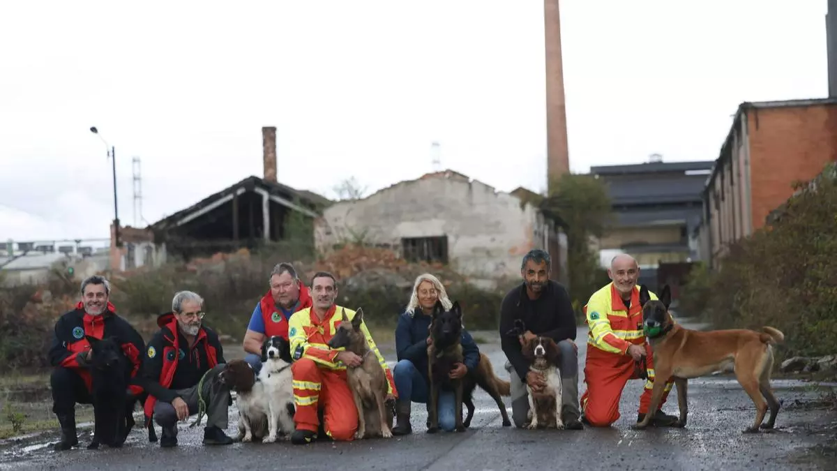 VIDEO: Así trabajan y entrenan 112 perros de rescate