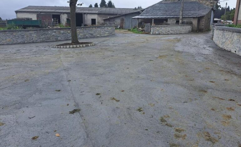 Berducedo (Allande) decidió quedarse con su “carbayo bendito” ante las obras de hormigonado de los caminos