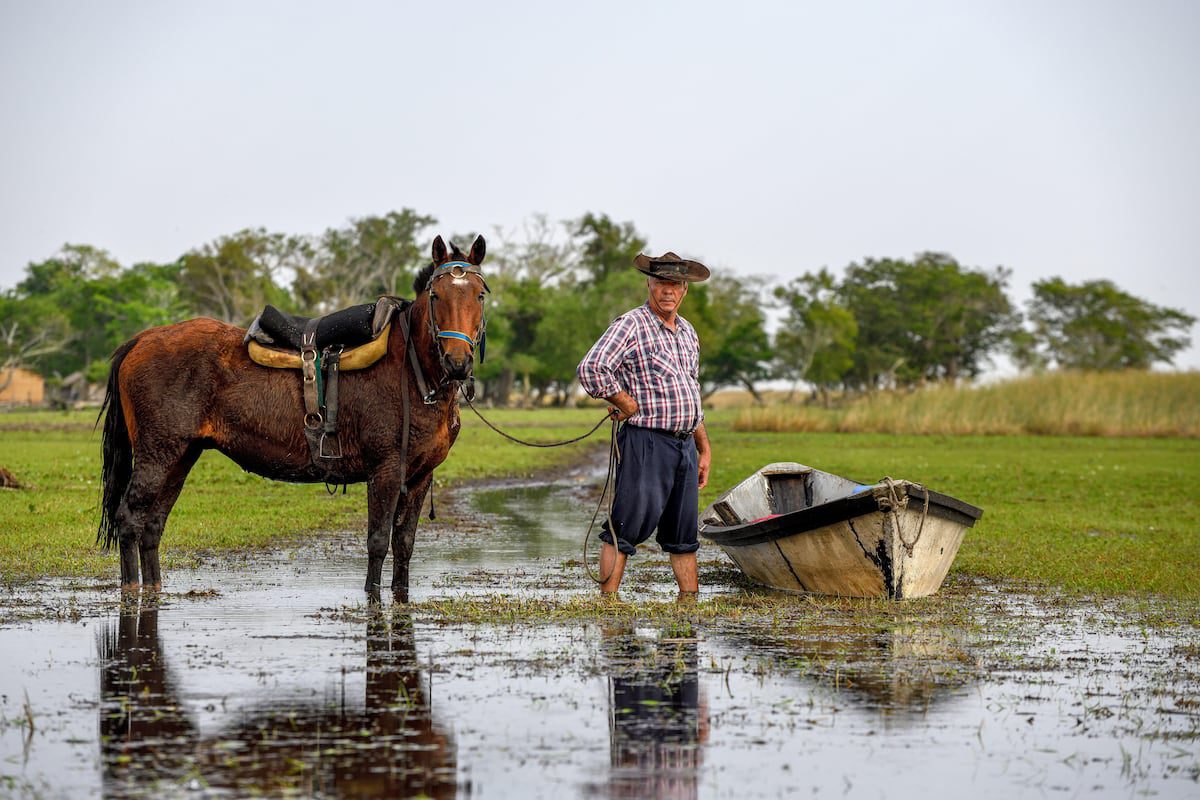 Ocho experiencias para viajar a América en 2026 | Lonely | El Viajero