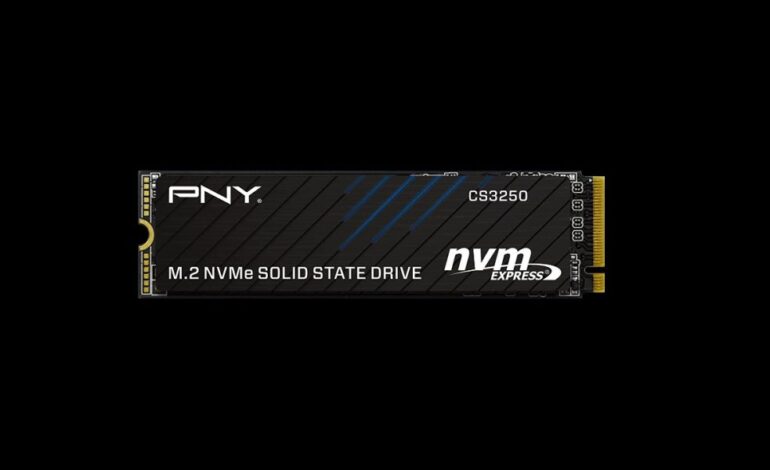 PNY CS3250, un SSD que casi triplica la velocidad del SSD de PS5