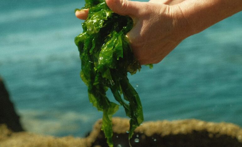 Los resultados están siendo esperanzadores