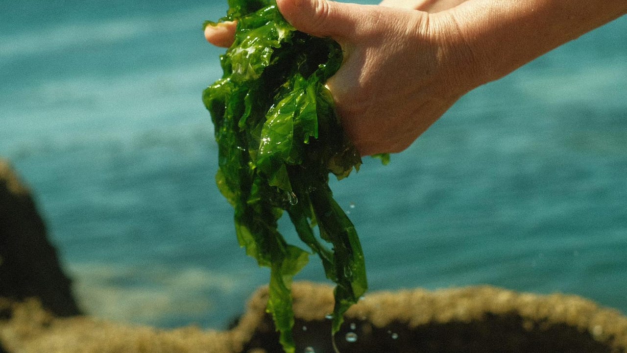 Los resultados están siendo esperanzadores