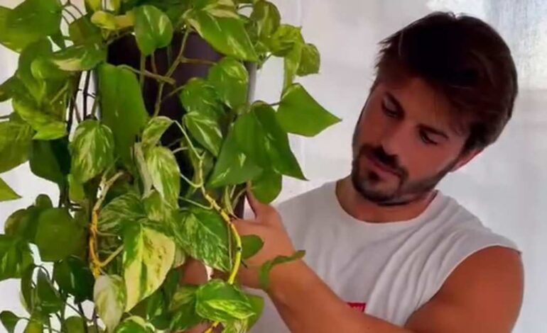 “Si tu poto ha crecido mucho, no lo dejes arrastrar por el suelo. Pódalo y crecerá más frondoso”