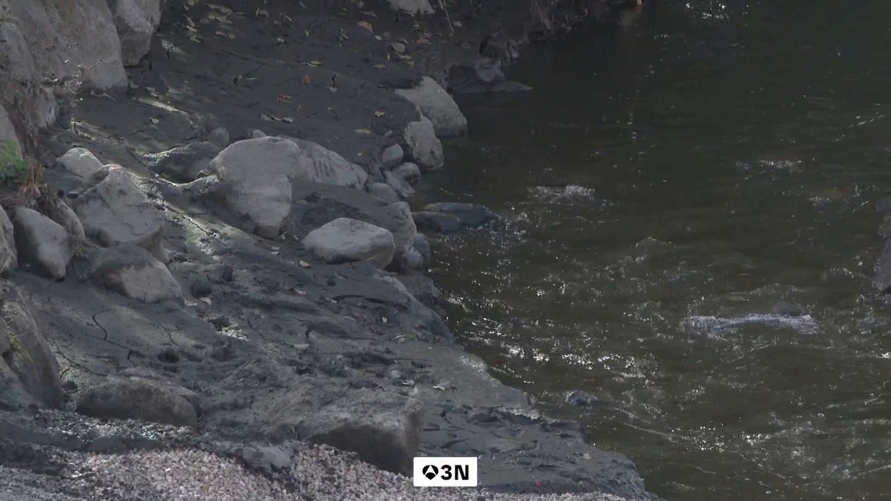 Las cenizas de los incendios tiñen de negro los ríos de El Bierzo con las primeras lluvias del otoño