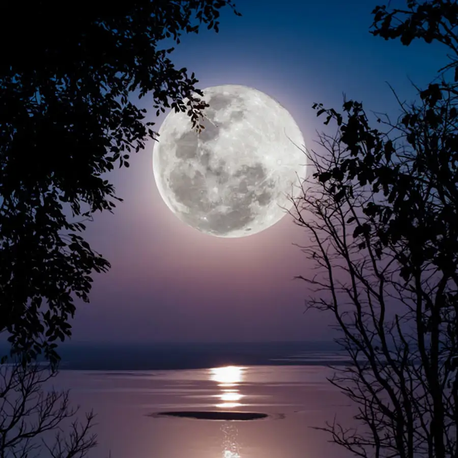 calendario lunar noviembre fases lunares corte de pelo depilación