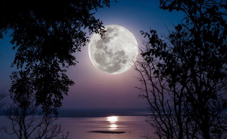 fases de la luna, corte de pelo y depilación