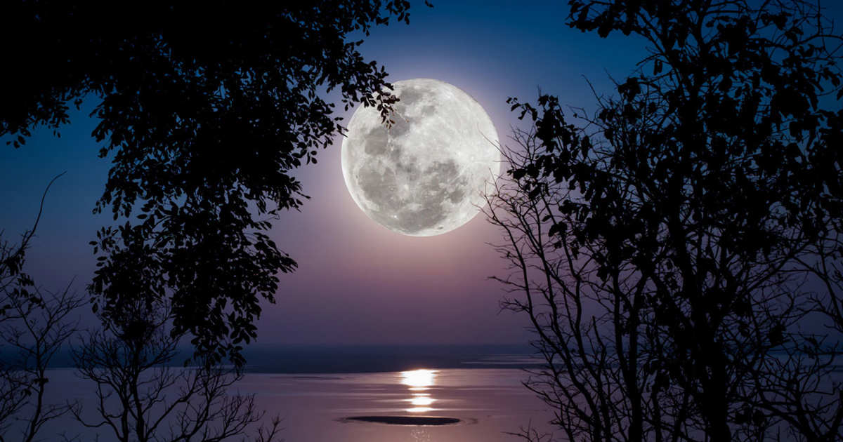 fases de la luna, corte de pelo y depilación