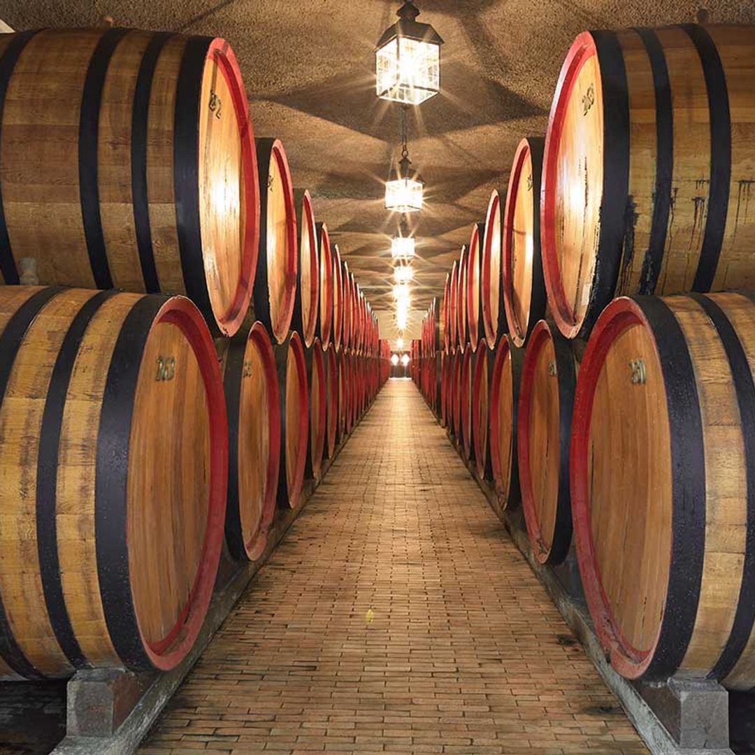 Barriles de la destilería Bortolo Nardini en Bassano del Grappa, Italia