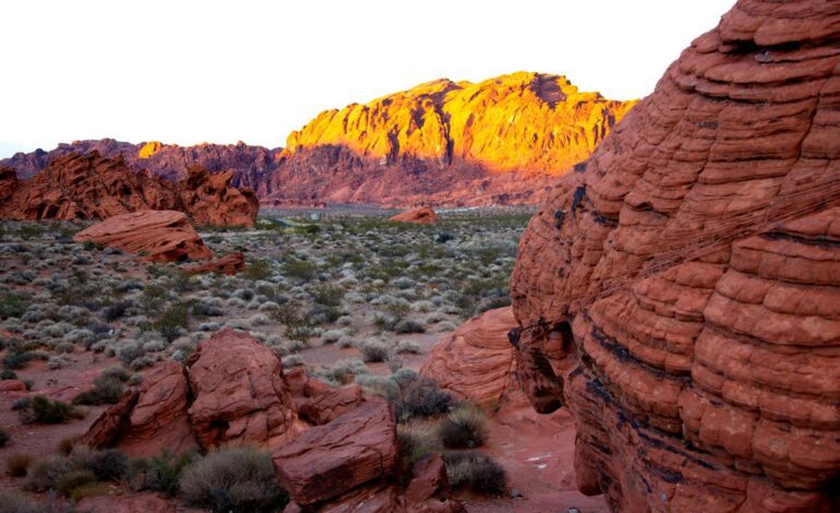 Descubren más de 300 montones de restos humanos en el desierto cerca de Las Vegas