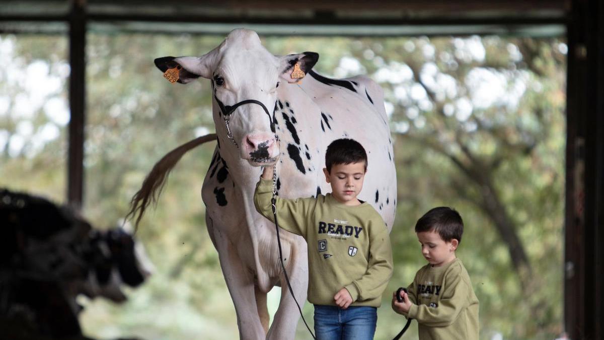 Dos pequeños de Salas, protagonistas de una prestigiosa revista ganadera con tirada nacional: «Están muy contentos»
