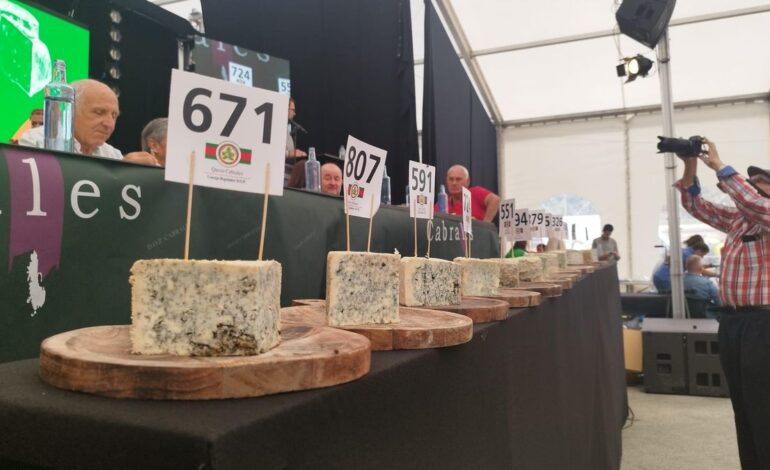 Los productores de queso Cabrales rechazan usar leche de otros concejos pese al sacrificio masivo de vacas por la brucelosis: «Sería perjudicial»