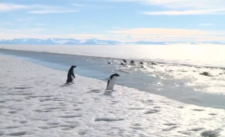 ¿Qué pasó el 28 de octubre?