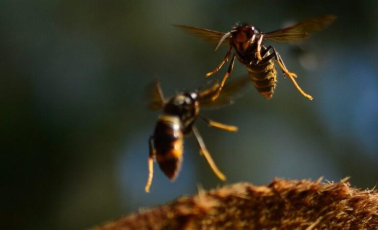 Es un problema de salud pública