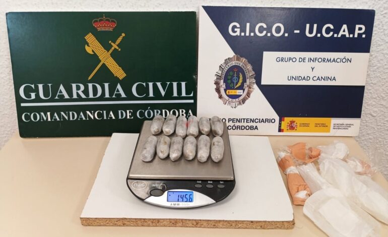 Detenido tras intentar entrar 12 bellotas de hachís en el Centro Penitenciario de Córdoba