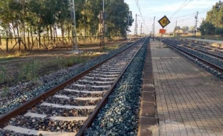 Interrumpida la circulación de tren entre Gibraleón y Calañas (Huelva) por la caída de un árbol