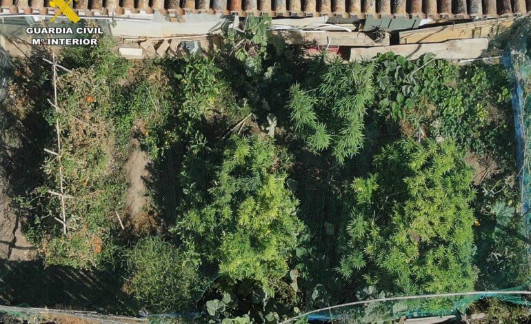 La Guardia Civil localiza en Arrúbal la vivienda de la que emanaban fuertes olores a marihuana
