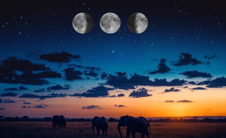 El auténtico poder no está en la prisa, sino en la constancia y en la serenidad de quien construye con propósito