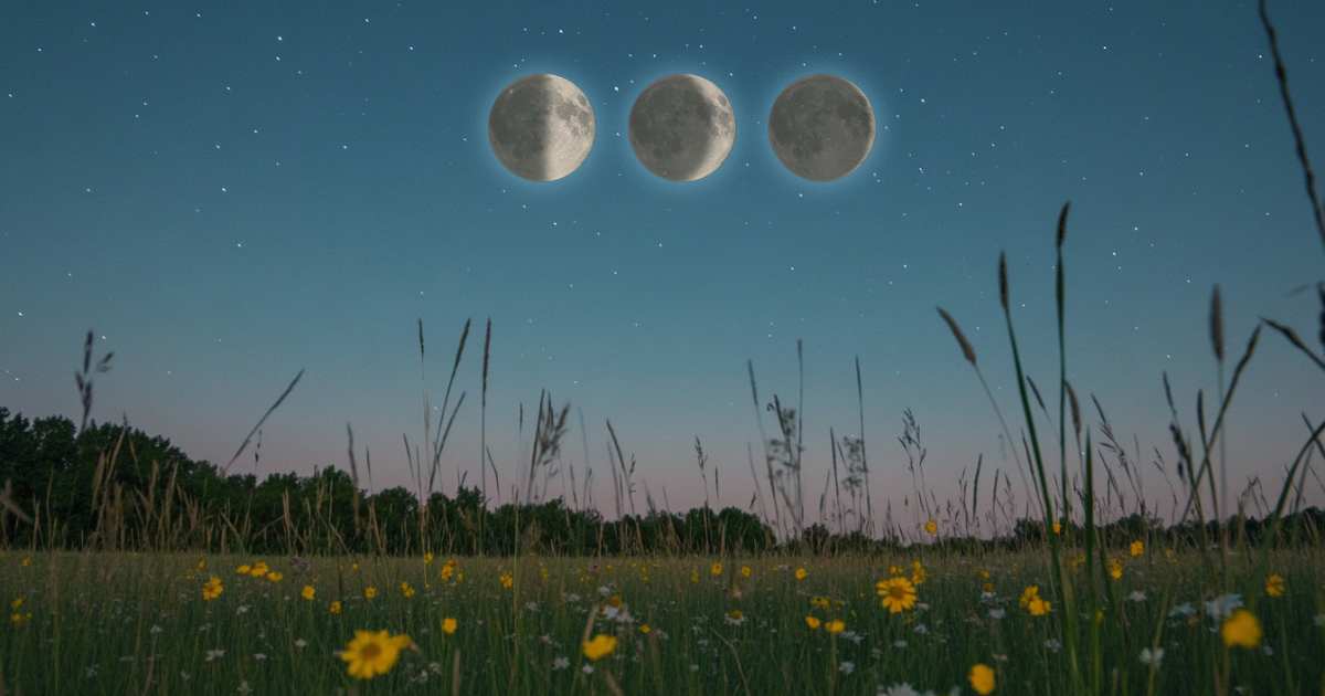 Es un día ideal para realizar un ritual de abundancia y reflexionar sobre qué pasos darás para conseguir tus propósitos