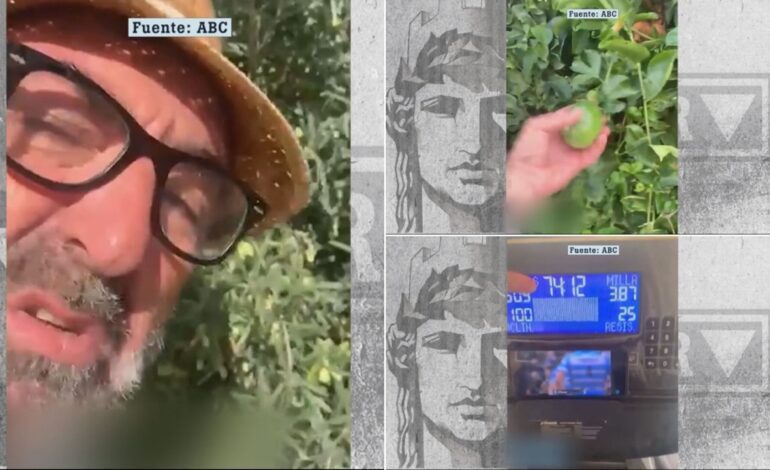 No sé qué hacer, ¿las cojo ya o espero?