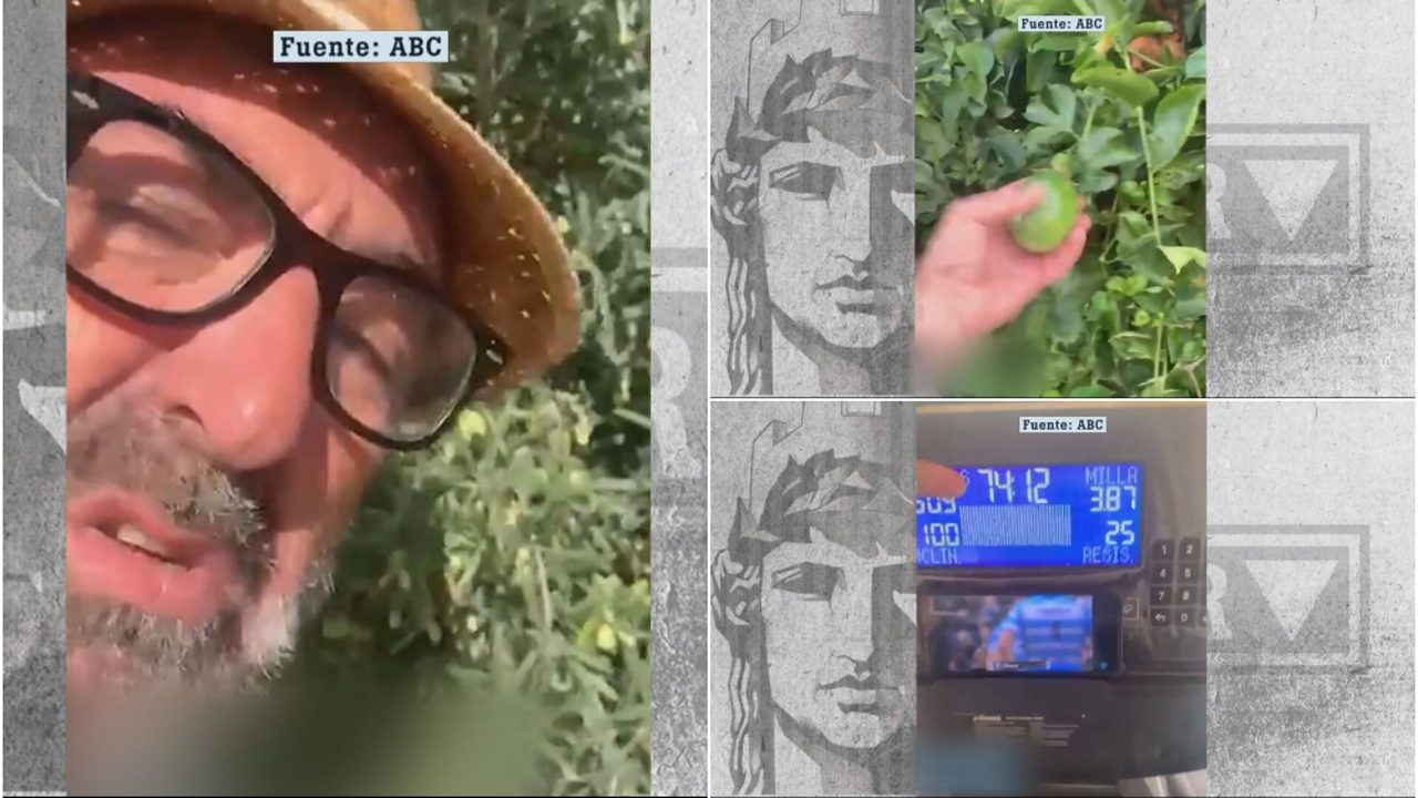 No sé qué hacer, ¿las cojo ya o espero?