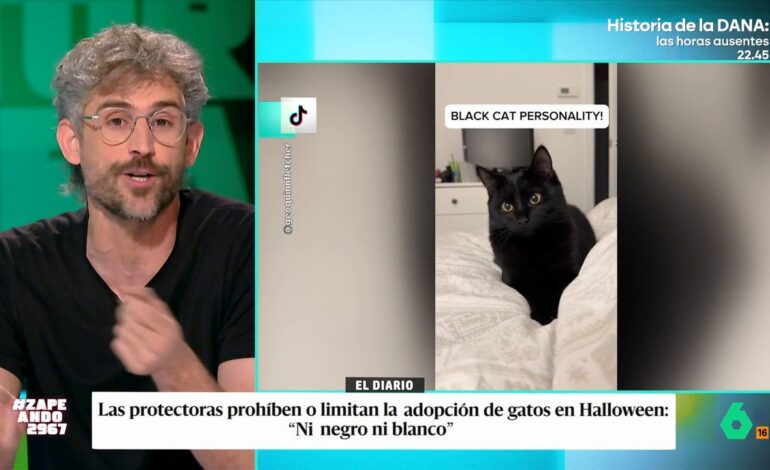 Víctor Algra explica por qué se limitan las adopciones de gatos negros y blancos en Halloween, en vídeo