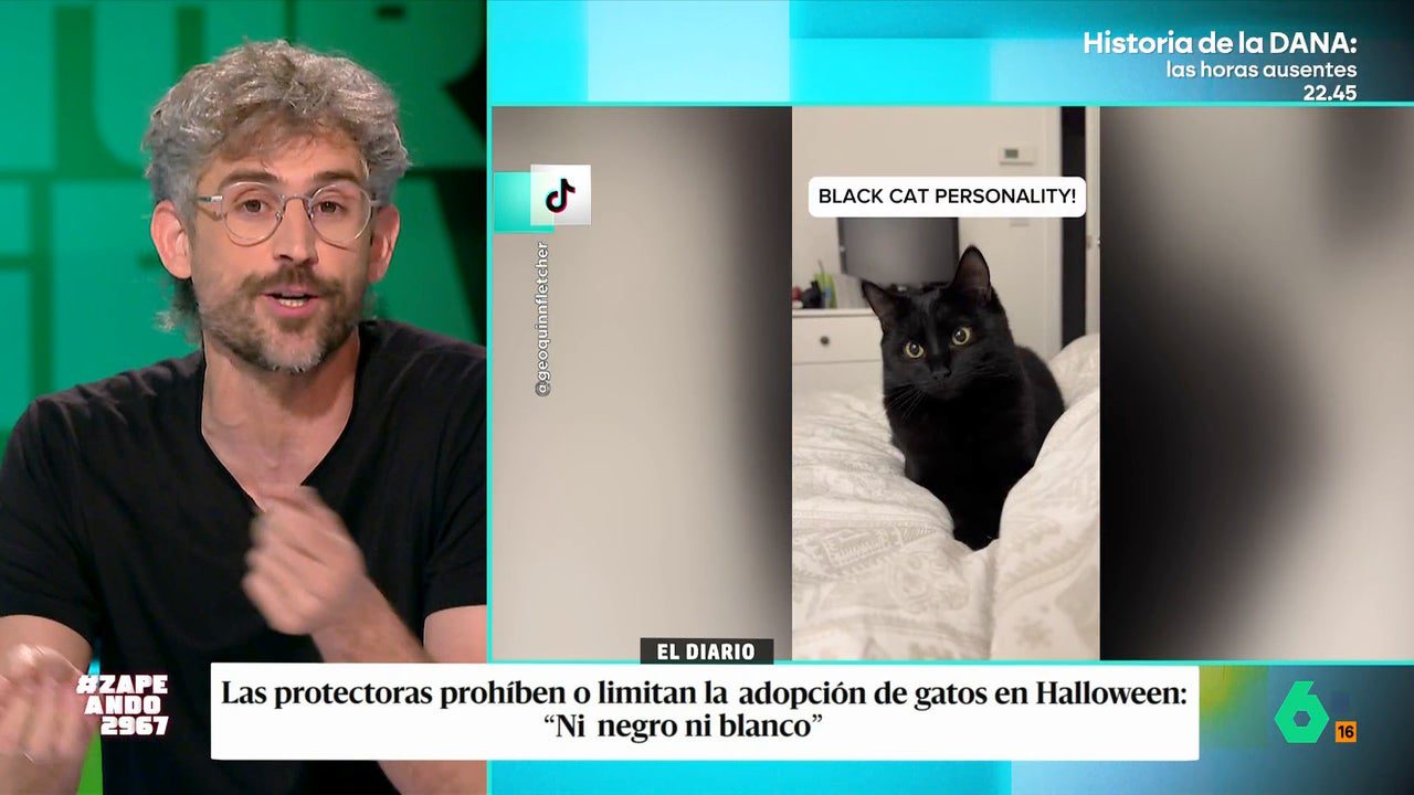 Víctor Algra explica por qué se limitan las adopciones de gatos negros y blancos en Halloween, en vídeo