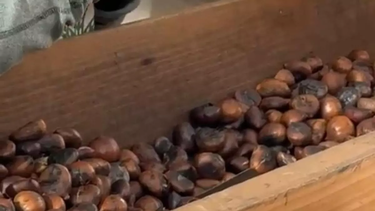 VÍDEO: La Balesquida celebra su popular amagüestu en Oviedo