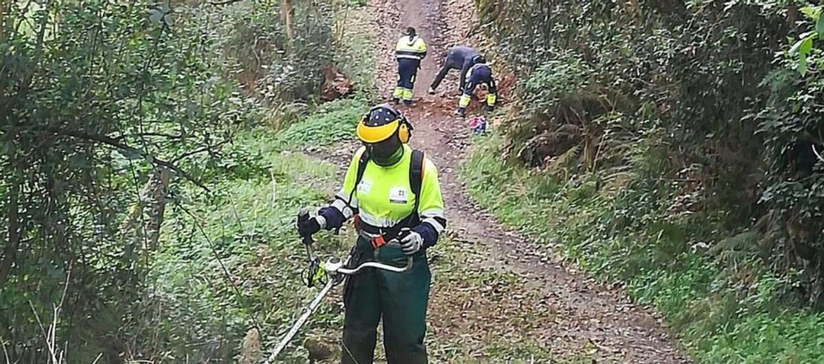 Trabajos de limpieza en Salas, acción que se realiza tres o cuatro veces al año. | Arkansas