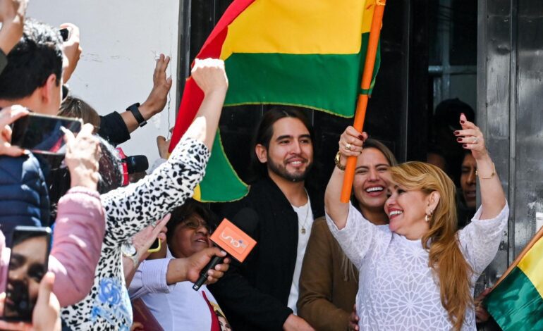 Hubo fraude electoral no un golpe de Estado