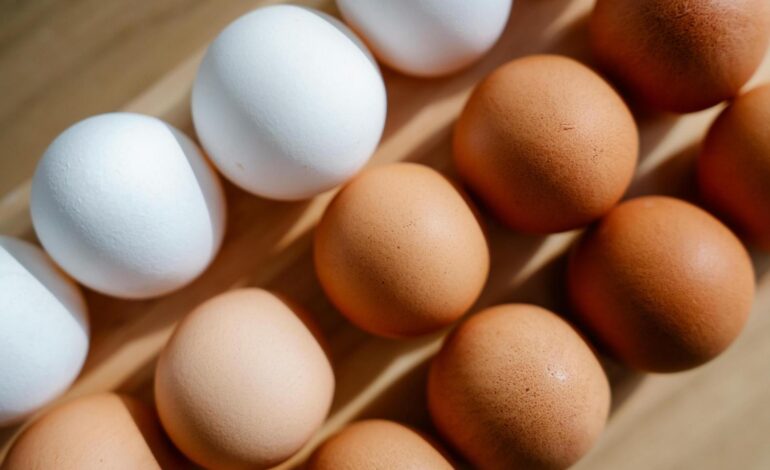 La gripe aviar dispara el miedo a la especulación con el precio de la docena de huevos por encima de los 3,10 euros