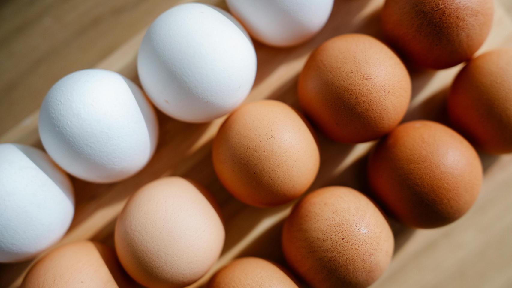 La gripe aviar dispara el miedo a la especulación con el precio de la docena de huevos por encima de los 3,10 euros