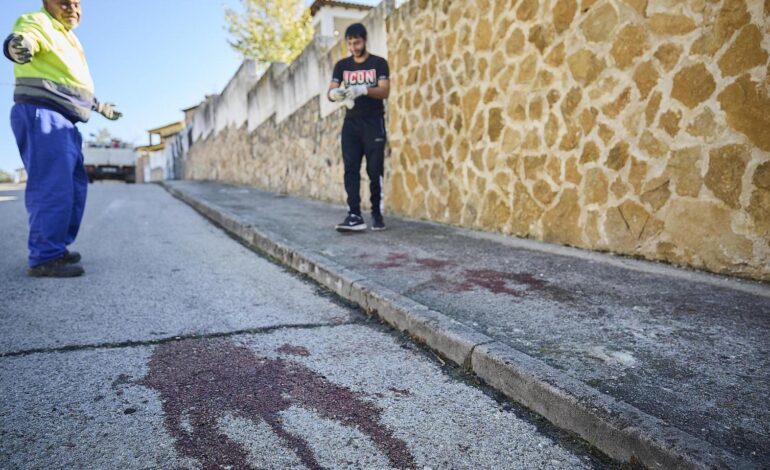 un sicario muerto en Toledo mientras el policía de Isla Mayor sigue en la UCI