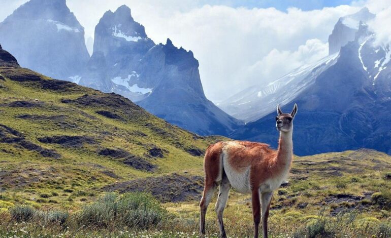 Hallan los cuerpos sin vida de 5 turistas perdidos durante una fuerte nevada en el Parque Torres del Paine de Chile