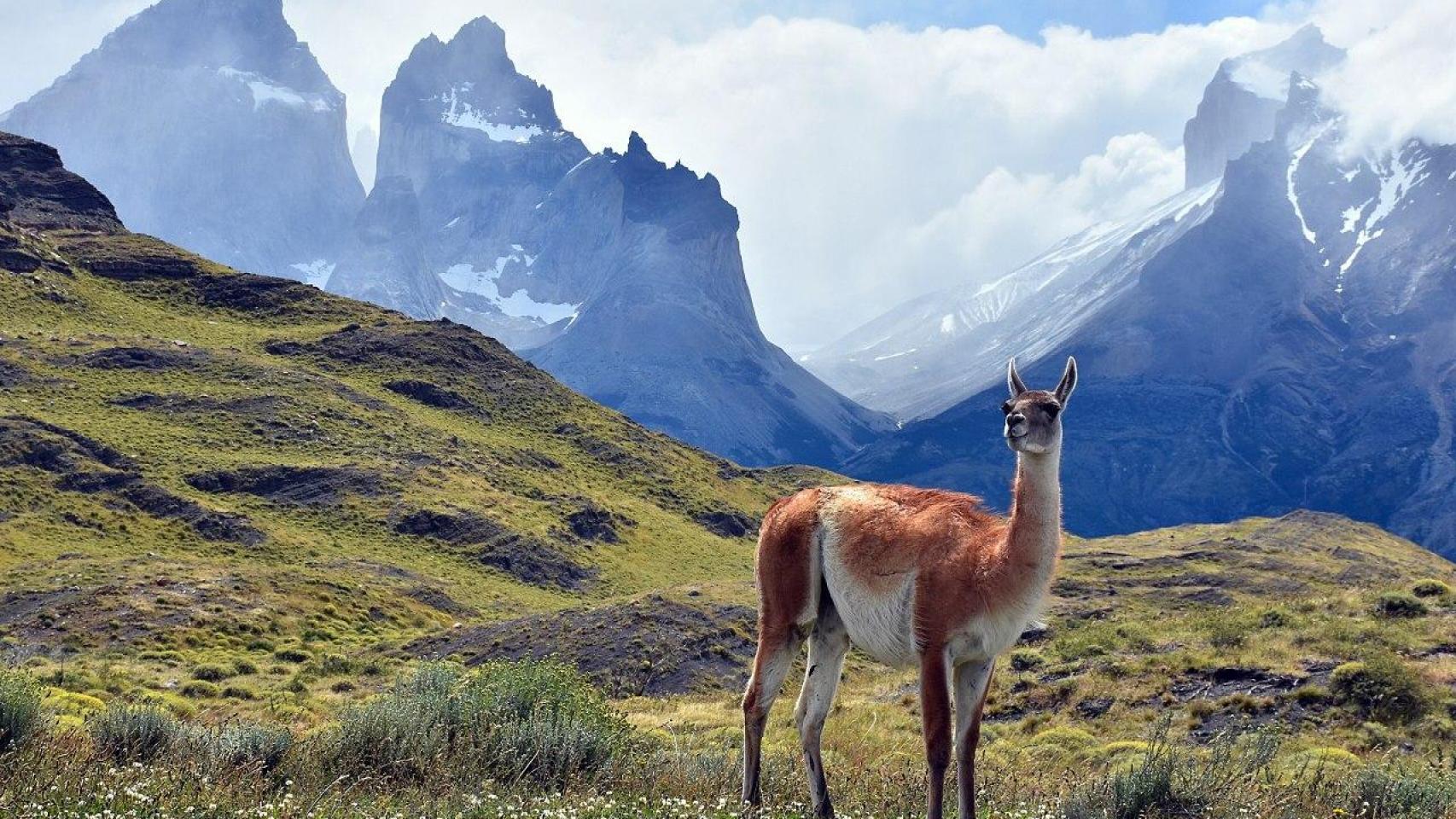 Hallan los cuerpos sin vida de 5 turistas perdidos durante una fuerte nevada en el Parque Torres del Paine de Chile