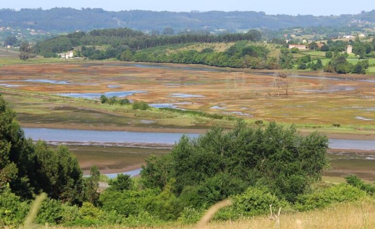 así está el esperado proyecto