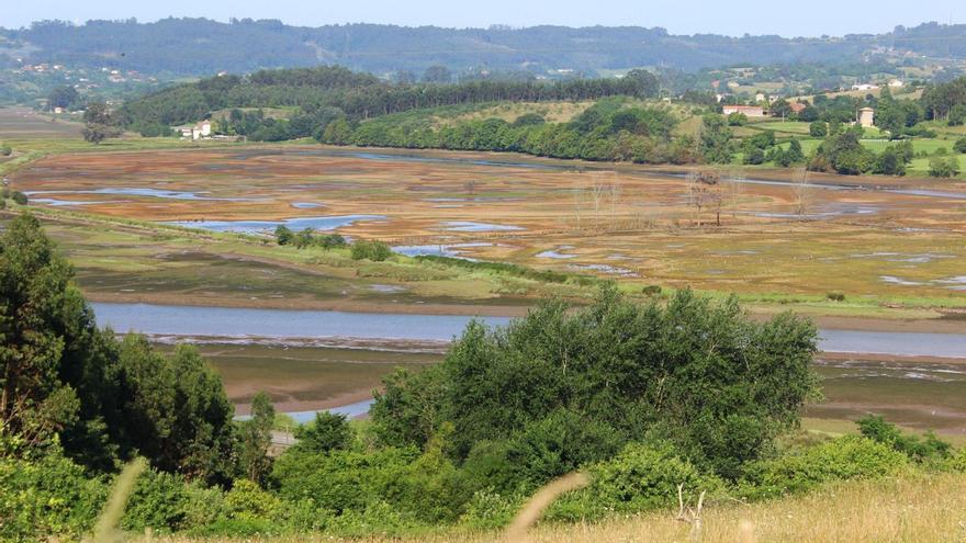 así está el esperado proyecto