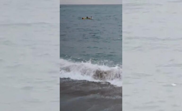 Dos policías nacionales rescatan en Málaga a un sintecho que dos hombres han arrojado al mar tras robarle