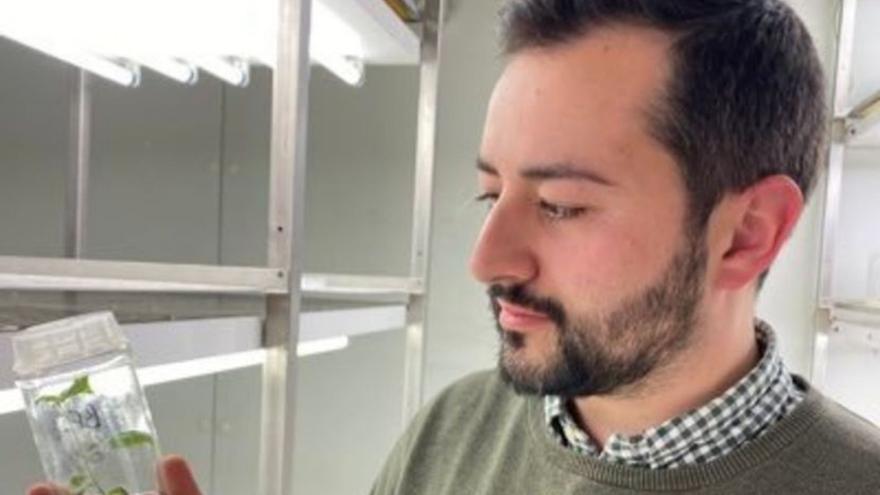 qué hacer en Asturias hoy jueves 20 de noviembre