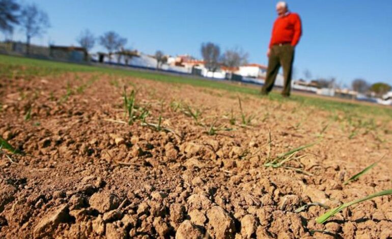 Baja la superficie siniestrada por el clima en España pero suben las indemnizaciones