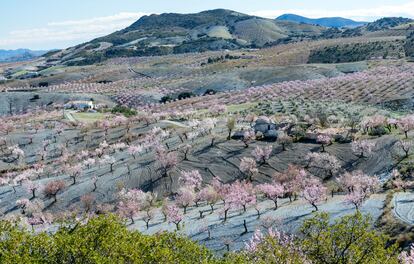 Sierra de María Almería