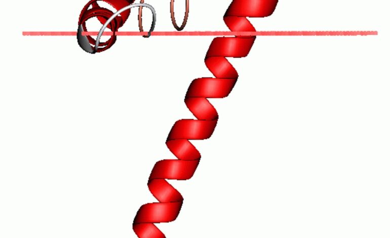 Investigadoras del CSIC desarrollan una herramienta de IA capaz de predecir funciones desconocidas de proteínas