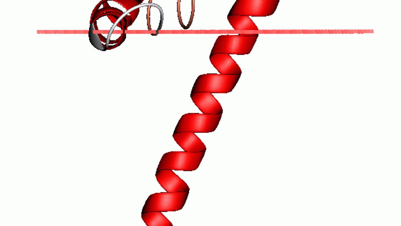 Investigadoras del CSIC desarrollan una herramienta de IA capaz de predecir funciones desconocidas de proteínas