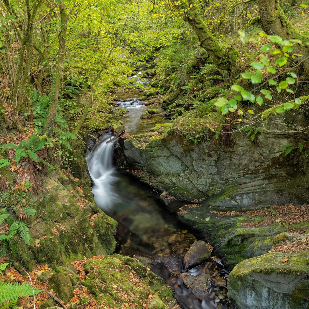 El río Infierno a su paso por el área recreativa de La Pesanca en Asturias
